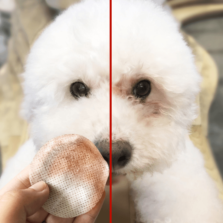 Pet Purrfection Eye Sparkle Wipes