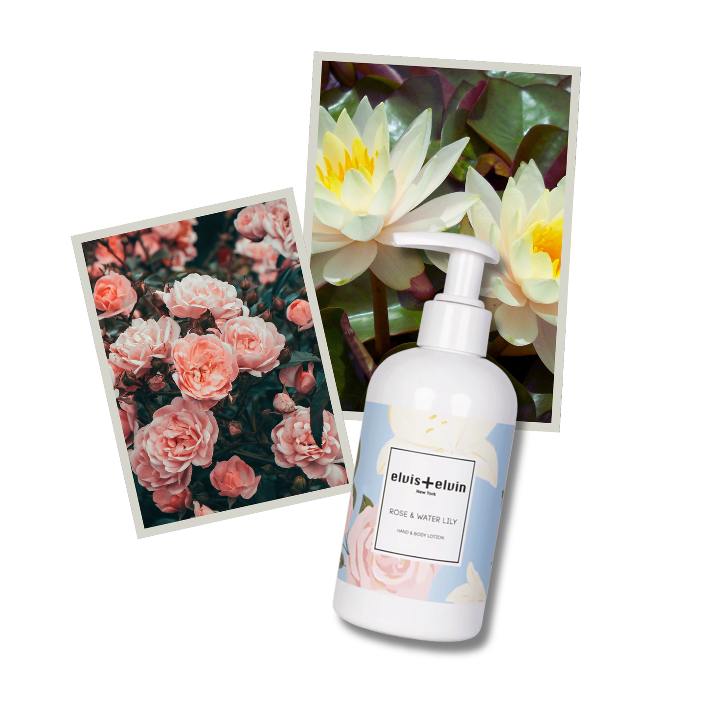 elvis+elvin Rose & Water Lily  Hand & Body Lotion