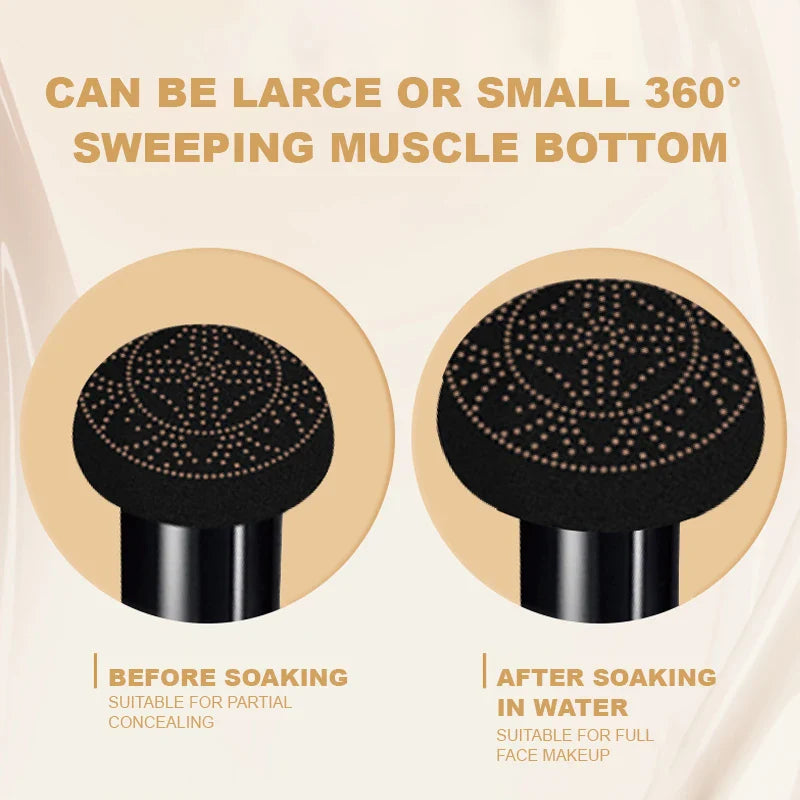 Ocheal BB Cream Air Cushion Makeup Foundation