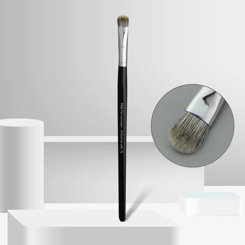 Pro Makeup Brushes with Black Handle