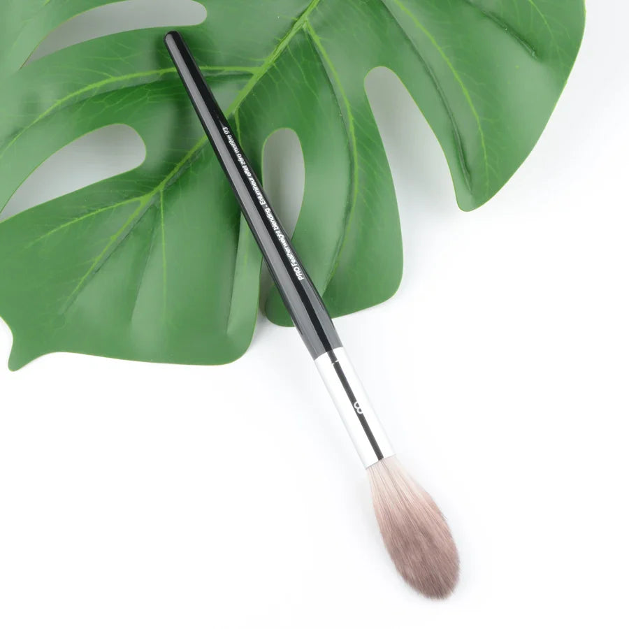 Pro Makeup Brushes with Black Handle