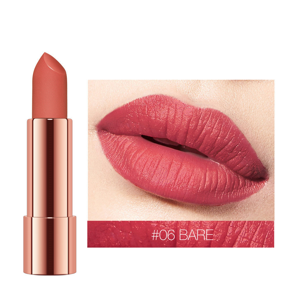 Velvet Matte Waterproof Lipstick