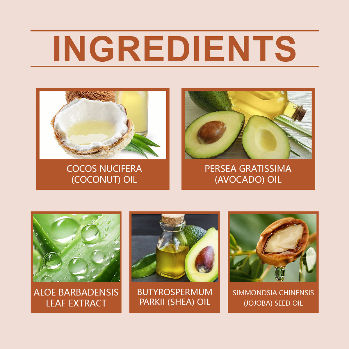 b9a2f590fa96440955f0460b231fd3aa