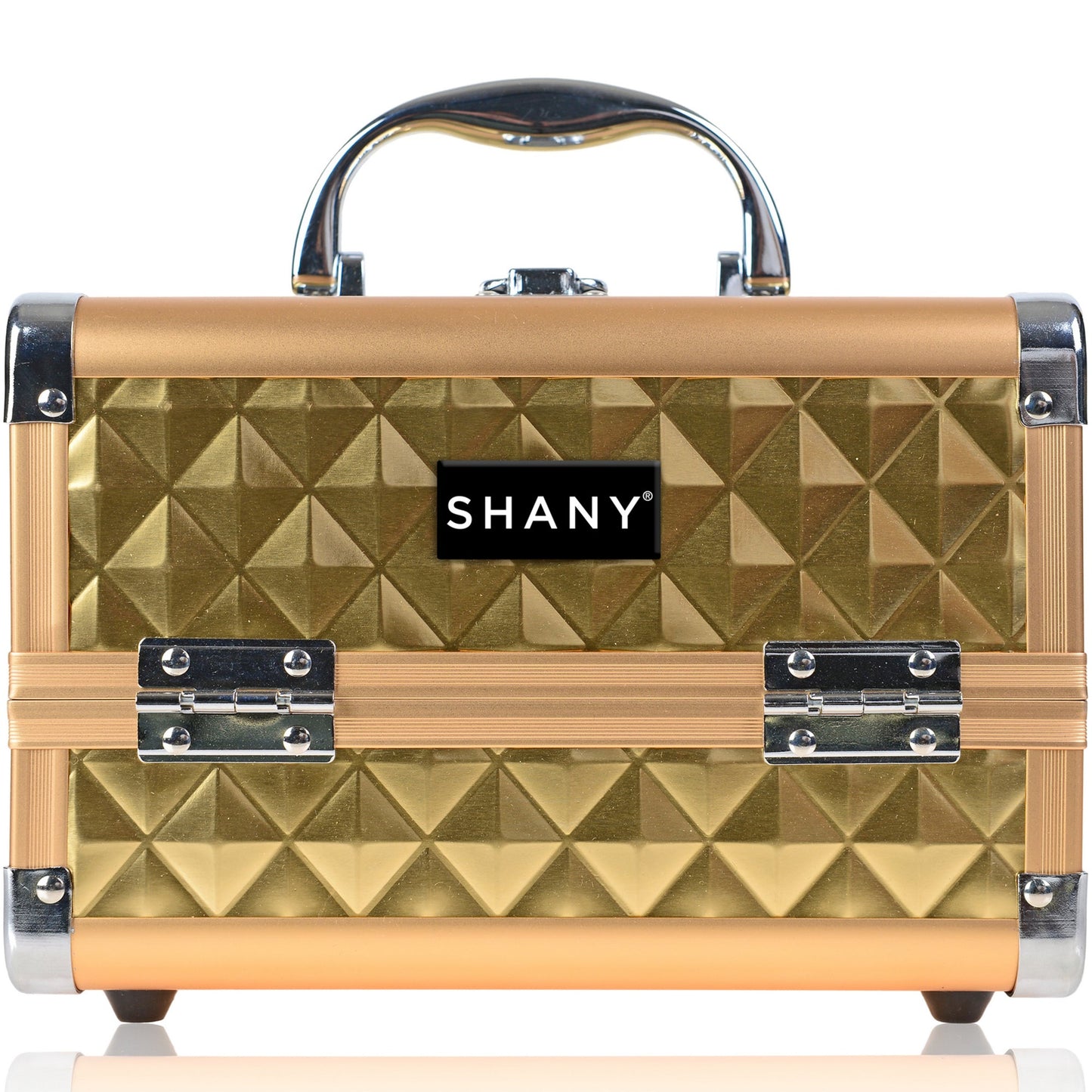 Chic Makeup Train Case with Mirror