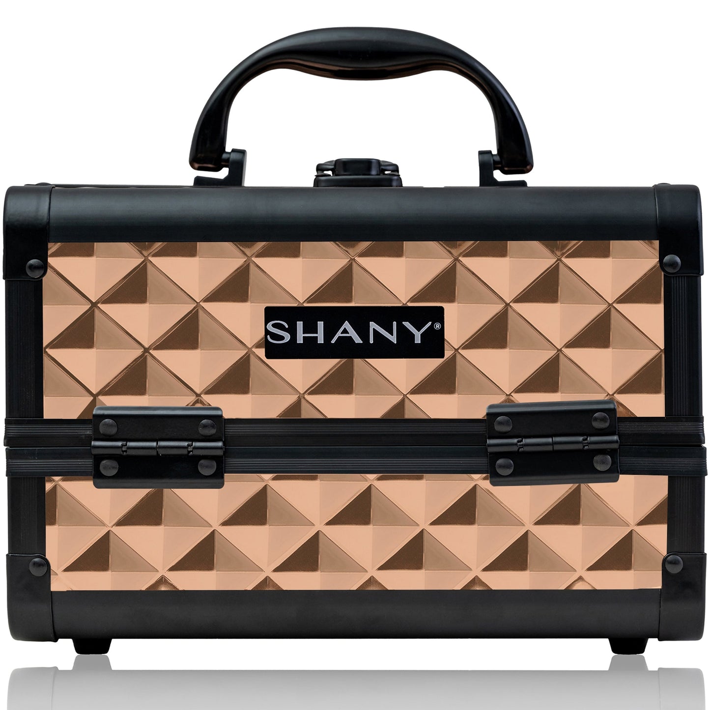 Chic Makeup Train Case with Mirror