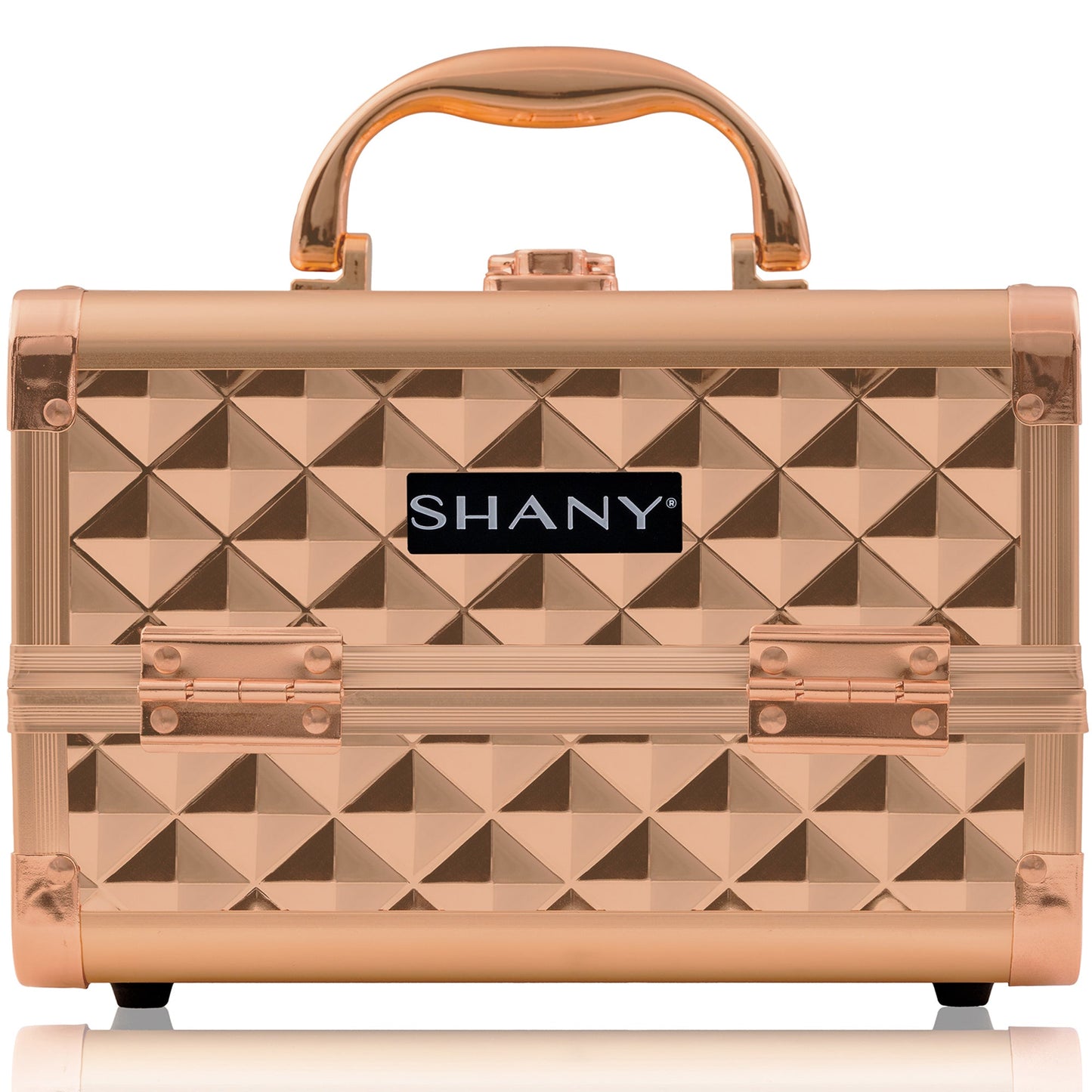Chic Makeup Train Case with Mirror