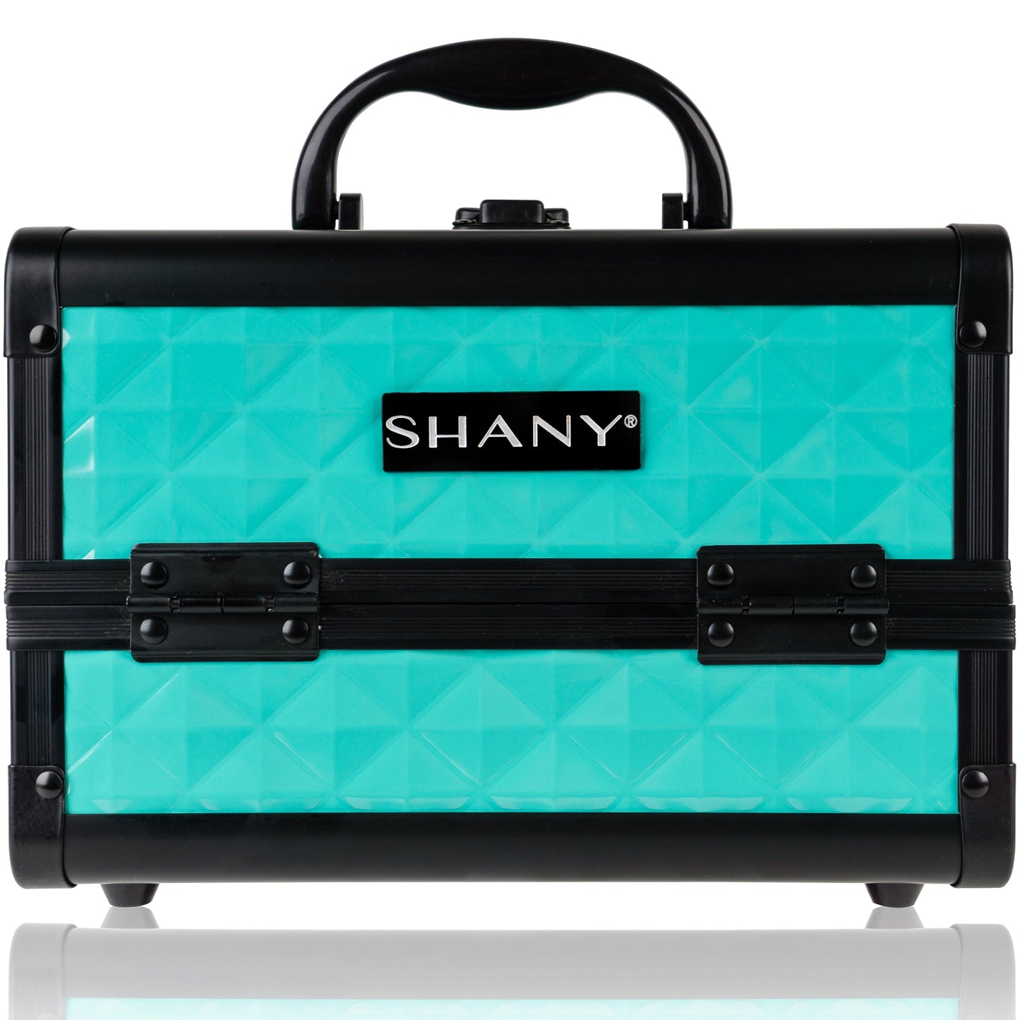 Chic Makeup Train Case with Mirror